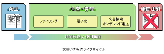 �������C�t�T�C�N���}