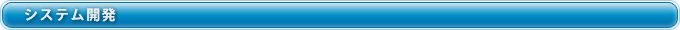 システム開発