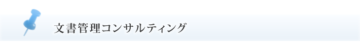 SRI金融機関向け文書管理コンサルティング