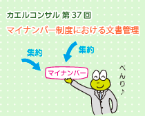 カエルコンサル第37回